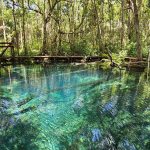 47398f22 8721 479c bee9 2eef7d776a82