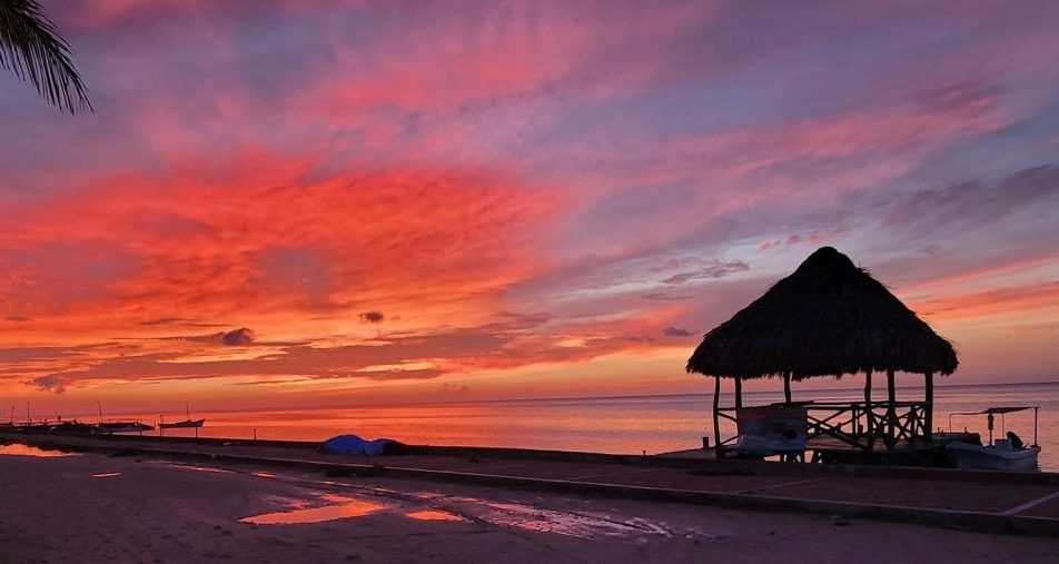 whatsapp image 2026 01 13 at 00.03.57