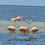 whatsapp image 2026 03 05 at 15.32.53 (1)