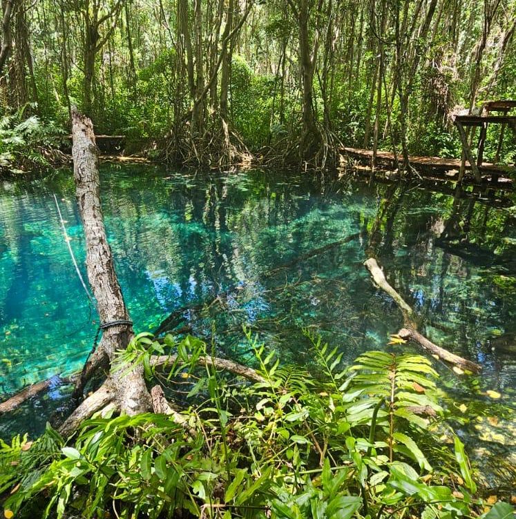 whatsapp image 2026 03 05 at 15.32.53 (2)