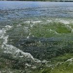 whatsapp image 2026 03 05 at 15.32.53 (3)