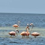 whatsapp image 2026 03 05 at 15.32.53 (5)