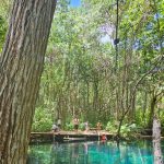 whatsapp image 2026 03 05 at 15.32.53 (6)