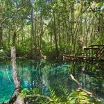 whatsapp image 2026 03 05 at 15.32.53 (7)