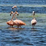 whatsapp image 2026 03 05 at 15.32.53