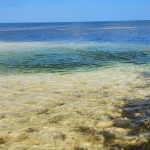 whatsapp image 2026 03 05 at 15.32.54