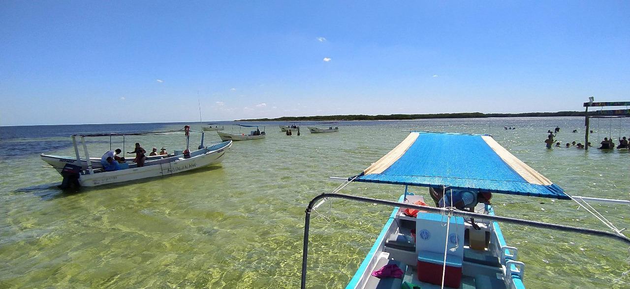 whatsapp image 2026 03 05 at 15.32.54 (2)