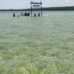 whatsapp image 2026 03 05 at 15.32.54 (3)