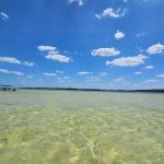 whatsapp image 2026 03 05 at 15.32.54 (4)