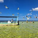 whatsapp image 2026 03 05 at 15.32.54 (5)