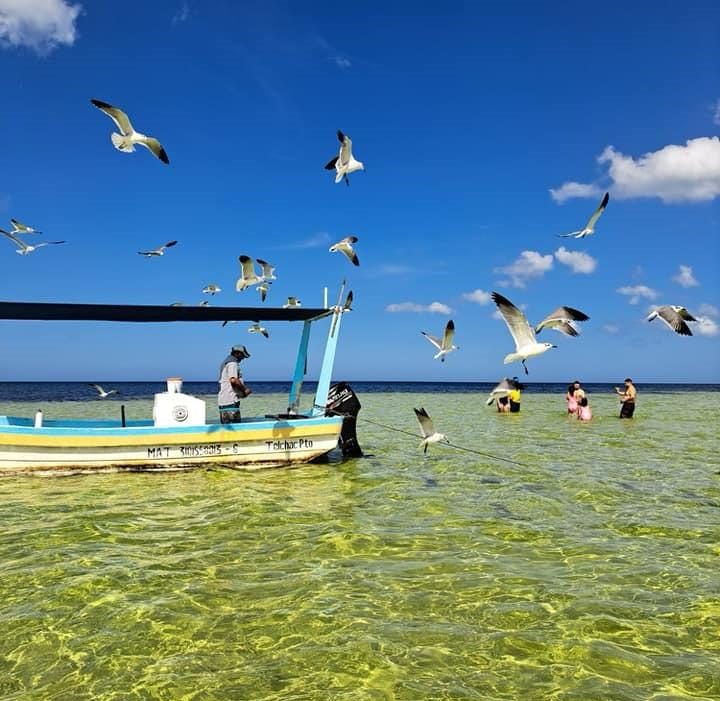 whatsapp image 2026 03 05 at 15.32.54 (5)