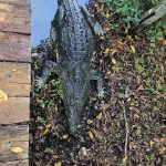 a7df8eae 7d6e 4cd5 9b36 16735a7b72d3